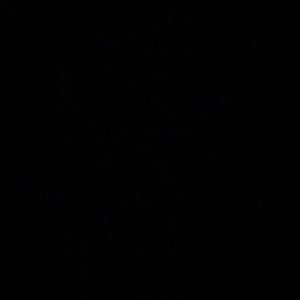 Meet your Posher, Aldo